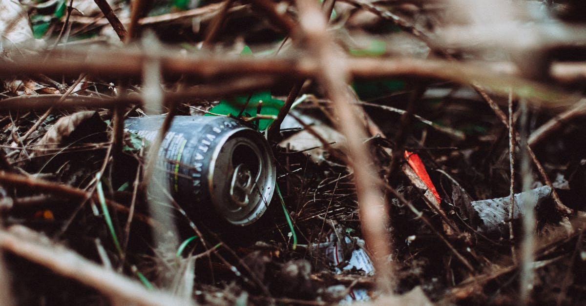 What can substitute Korean malt syrup? [closed] - Gray Can on Grass