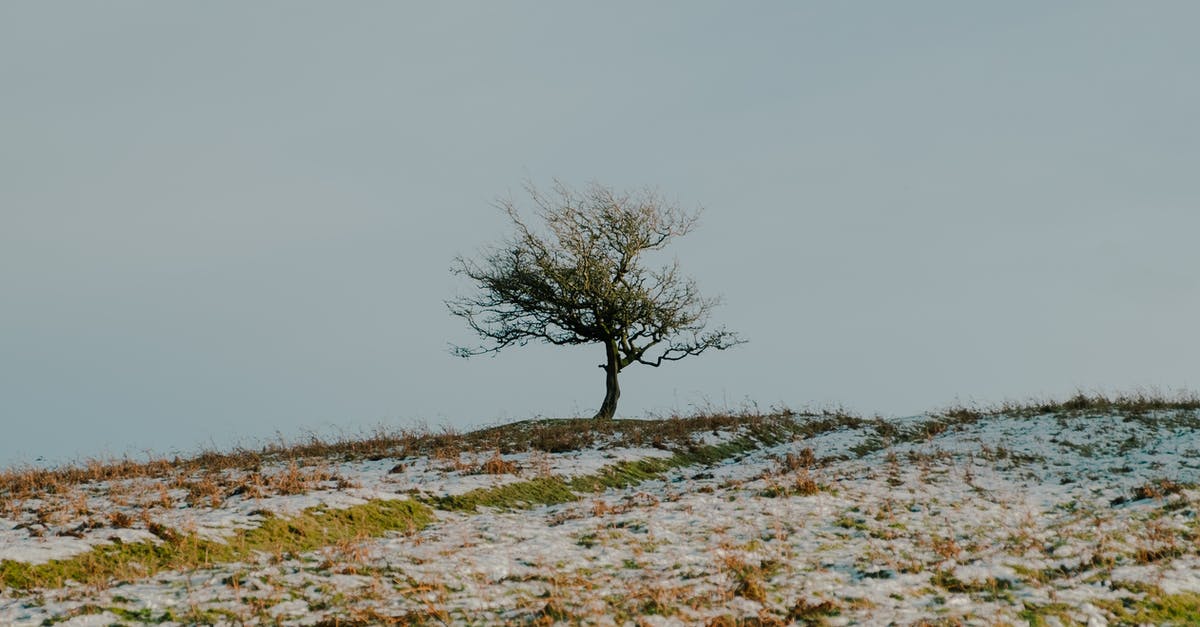 What causes mold to grow on frozen meats? - Lonely tree on hilltop in grassy meadow