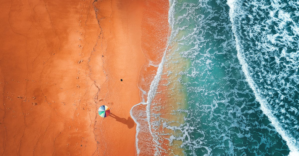 What could hair-like protrusions from a banana's surface be? - Aerial View of Umbrella on Seashore