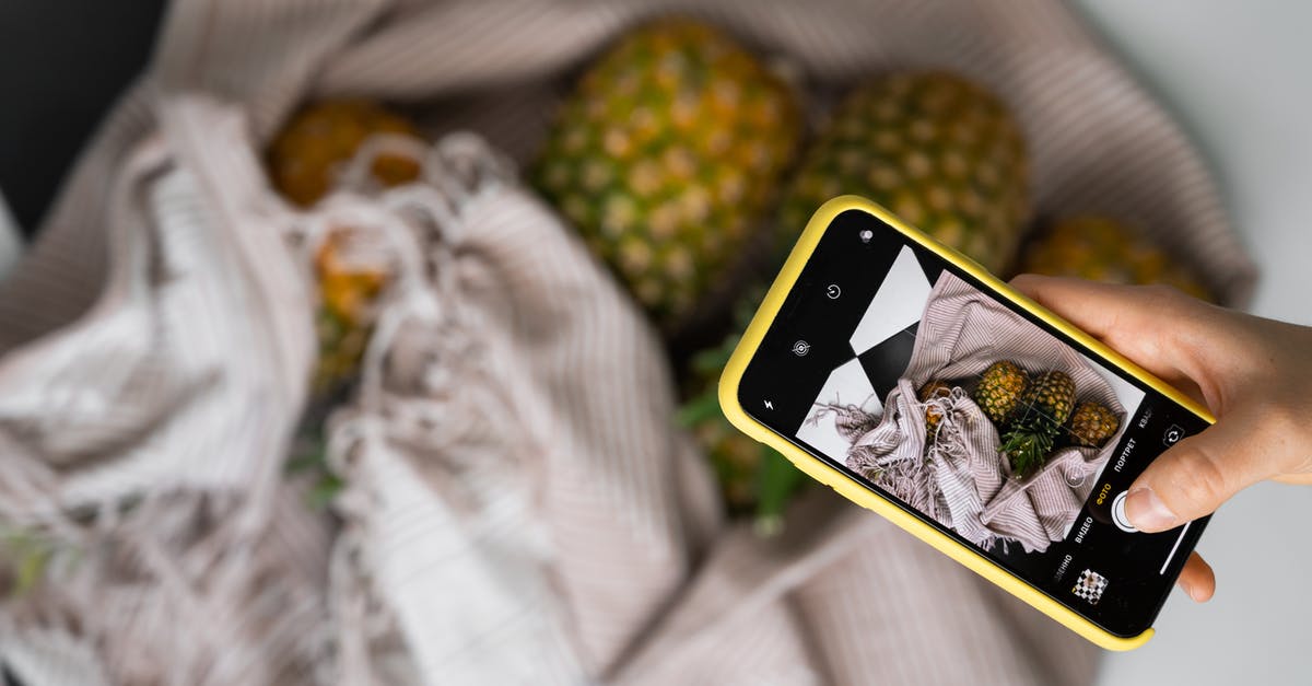 What could I use in a vegetarian b'stilla? - From above of crop anonymous person taking picture of blurred pineapples in eco friendly bags