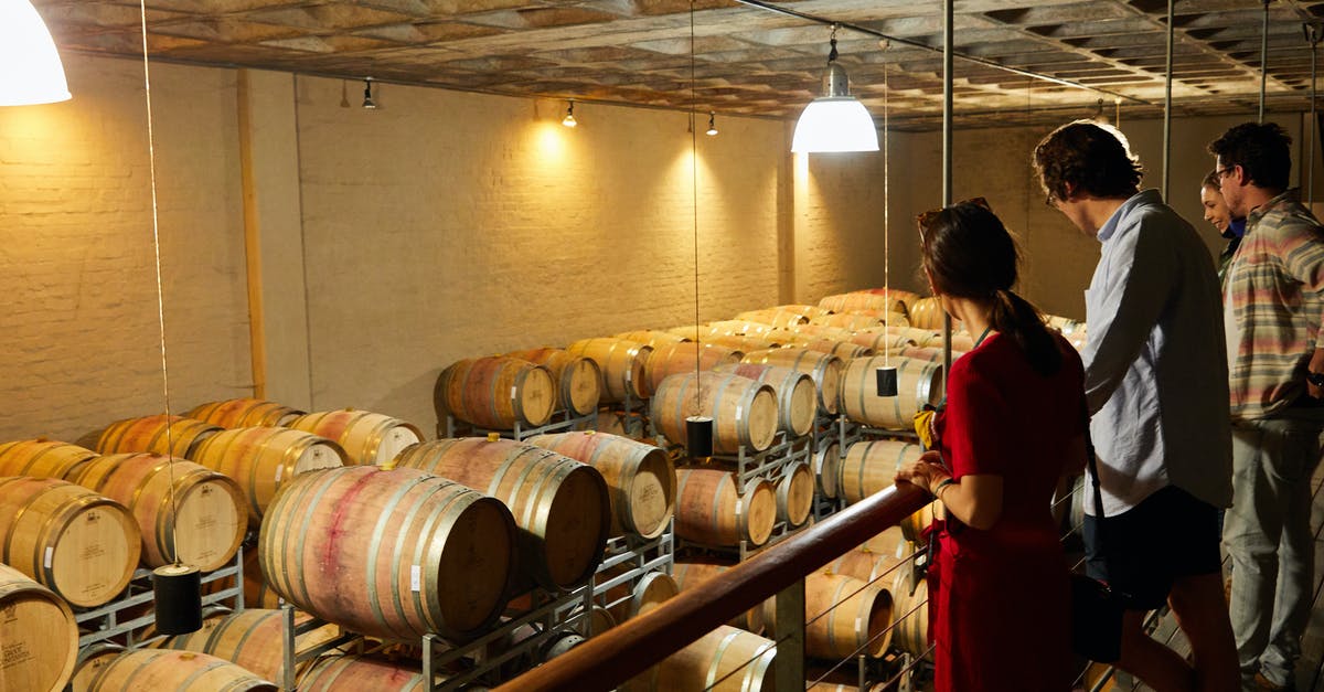 What defines the type of the fermentation (alcohol/lacto)? - Photo of People in a Room with Barrels