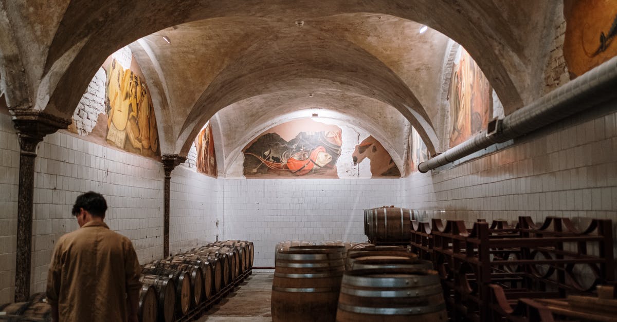 What defines the type of the fermentation (alcohol/lacto)? - Wooden Wine Barrels in a Arched Room