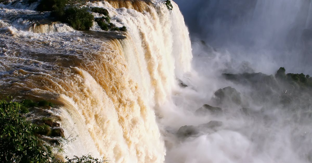 What does flushing mussels in water with flour do? - Iguazu falls