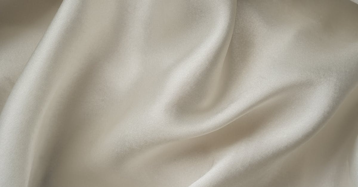 What does simmer slowly mean with white soybeans? - White Textile on White Table