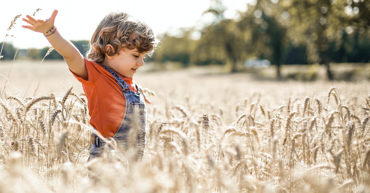 What does the ash content of broken wheat really mean? - Side view of positive kid with outstretched arms in agricultural meadow with dried plants and green trees on blurred background