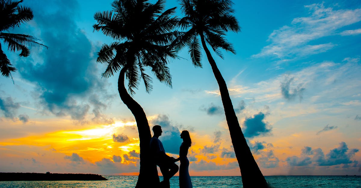 What does"relax on the way forward" mean in relation to knife sharpening? - Silhouette Photo of Male and Female Under Palm Trees