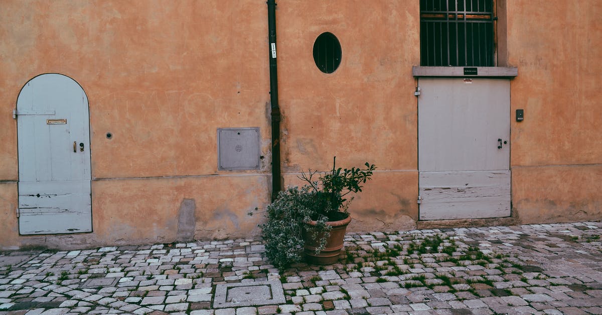 What happened to this pot - Green Potted Plant Beside White Concrete Building