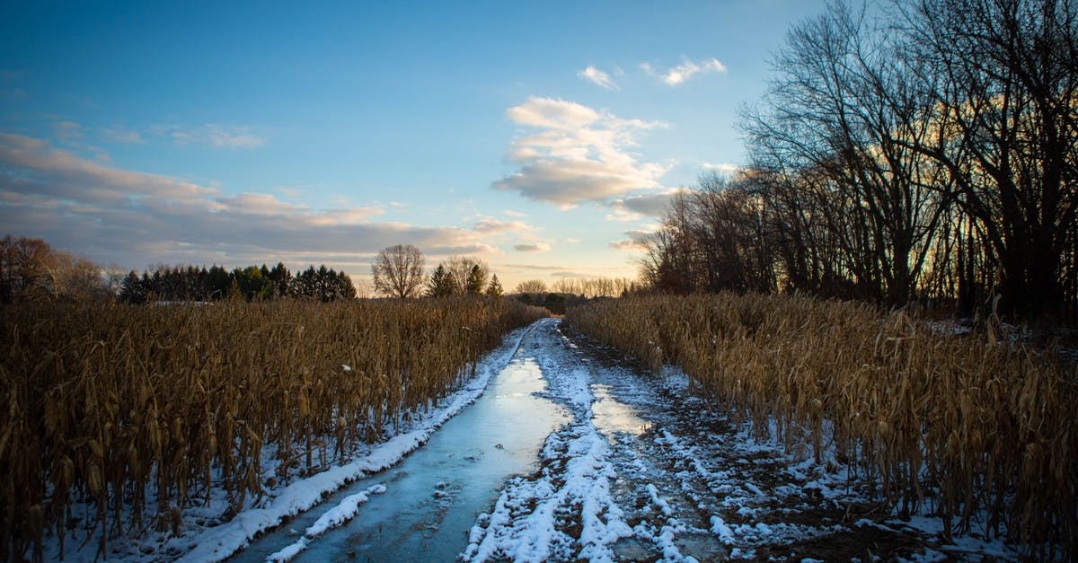 What happens if I add corn before bringing the water to a boil? - Desired Path With Snow Beside Trees and Grasses What happens if I add corn before bringing the water to a boil? - Desired Path With Snow Beside Trees and Grasses