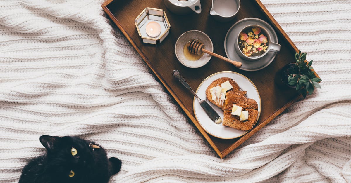 What happens when butter stops foaming? - From above of wooden tray with delicious homemade breakfast near domestic cat resting on bed and looking at camera