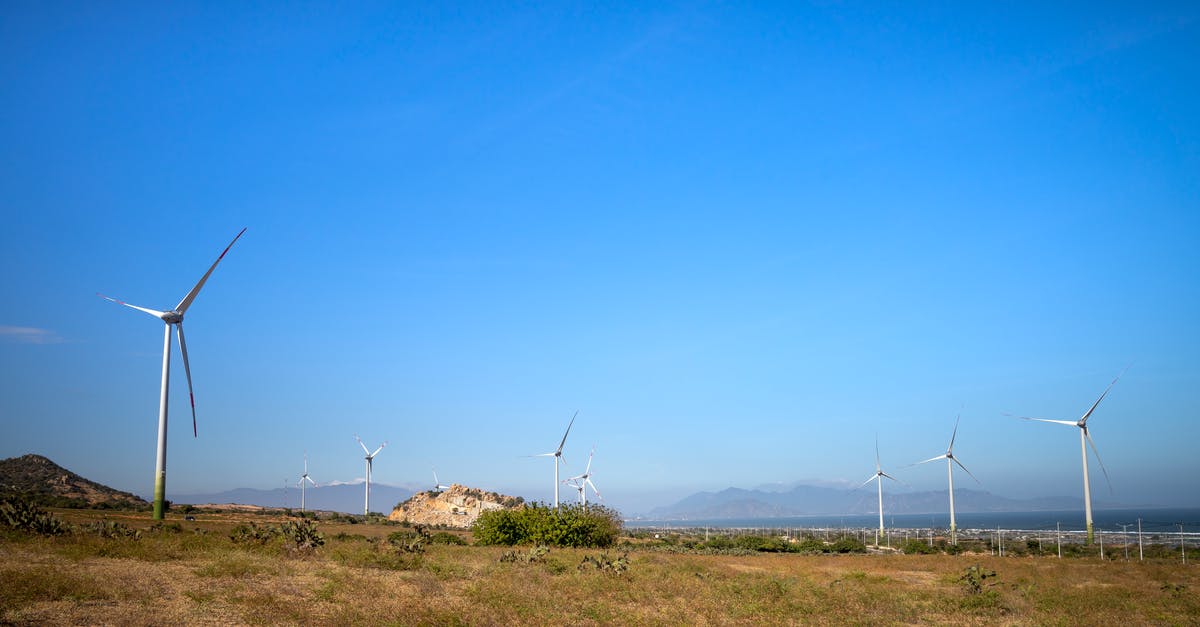 What is a good alternative to Sea Bass? - Picturesque view of air turbines on land with plants against ridges and ocean under cloudy sky in daylight