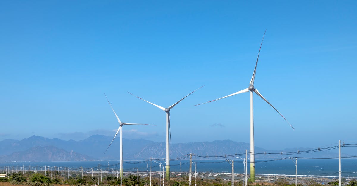 What is a good alternative to Sea Bass? - Scenery view of wind turbines in row on terrain with plants against ocean and mounts in daytime