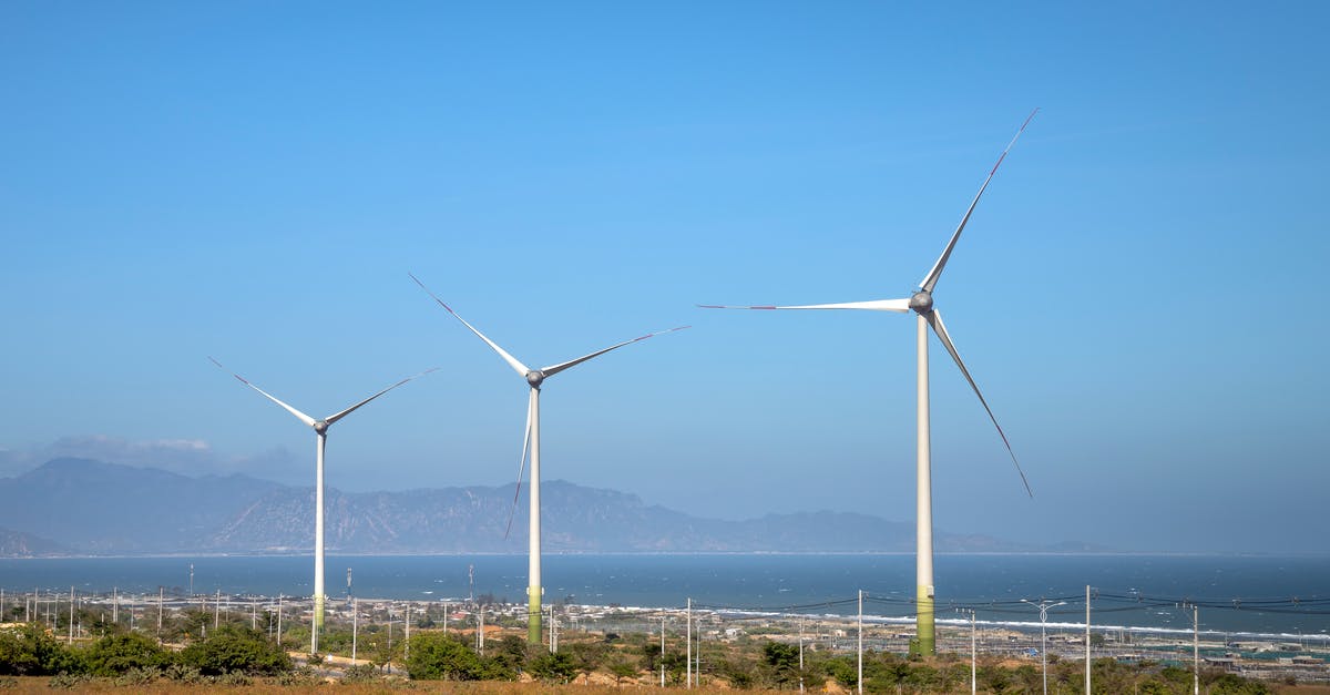 What is a good alternative to Sea Bass? - Rows of wind generators on land with plants against sea and mountain in daylight