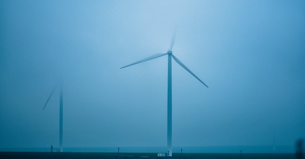 What is a good alternative to Sea Bass? - Air turbines on shore against endless ocean under blue sky in misty weather in twilight