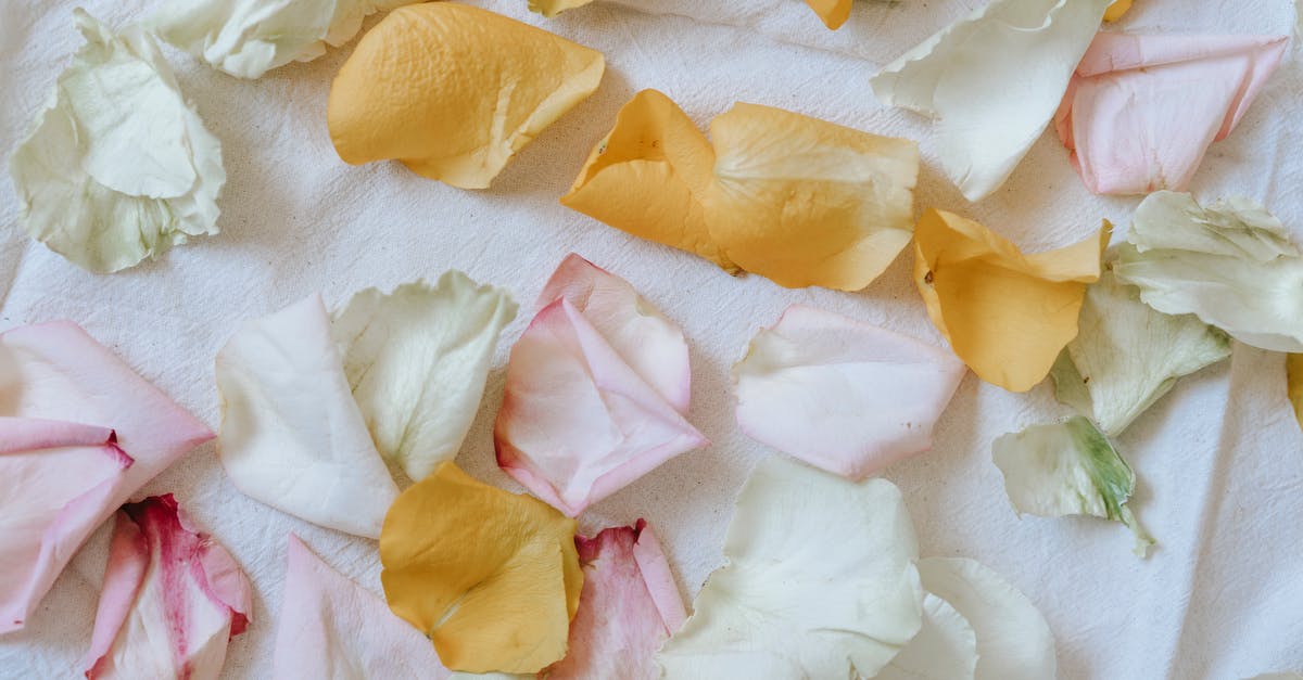 What is a mild detergent? - Gentle rose petals on soft white cloth