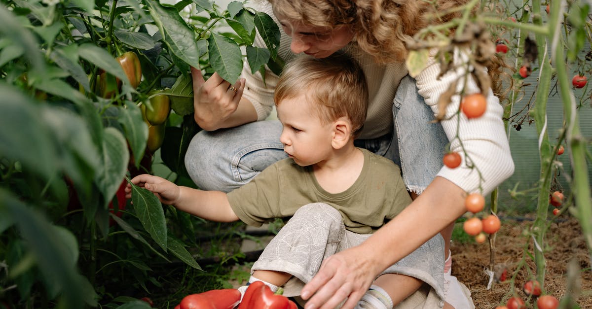 What is a substitute for Poblano Peppers? - 2 Boys Sitting on Ground Surrounded by Green Plants