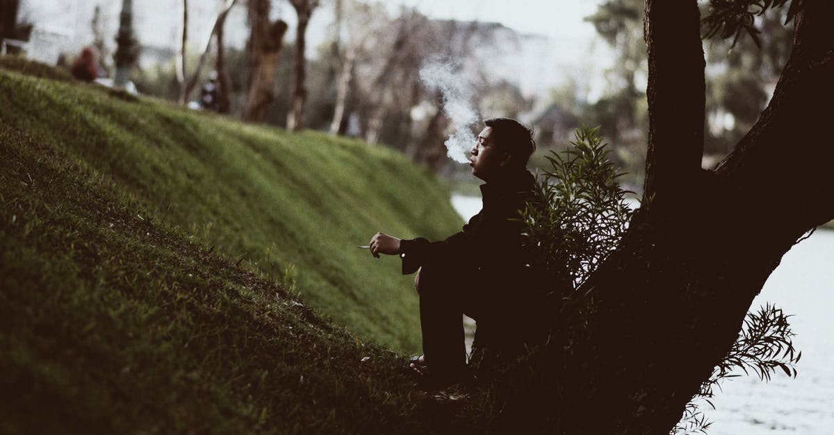 What is good water-pan placement for offset smoker - Man Sitting Under Tree While Smoking