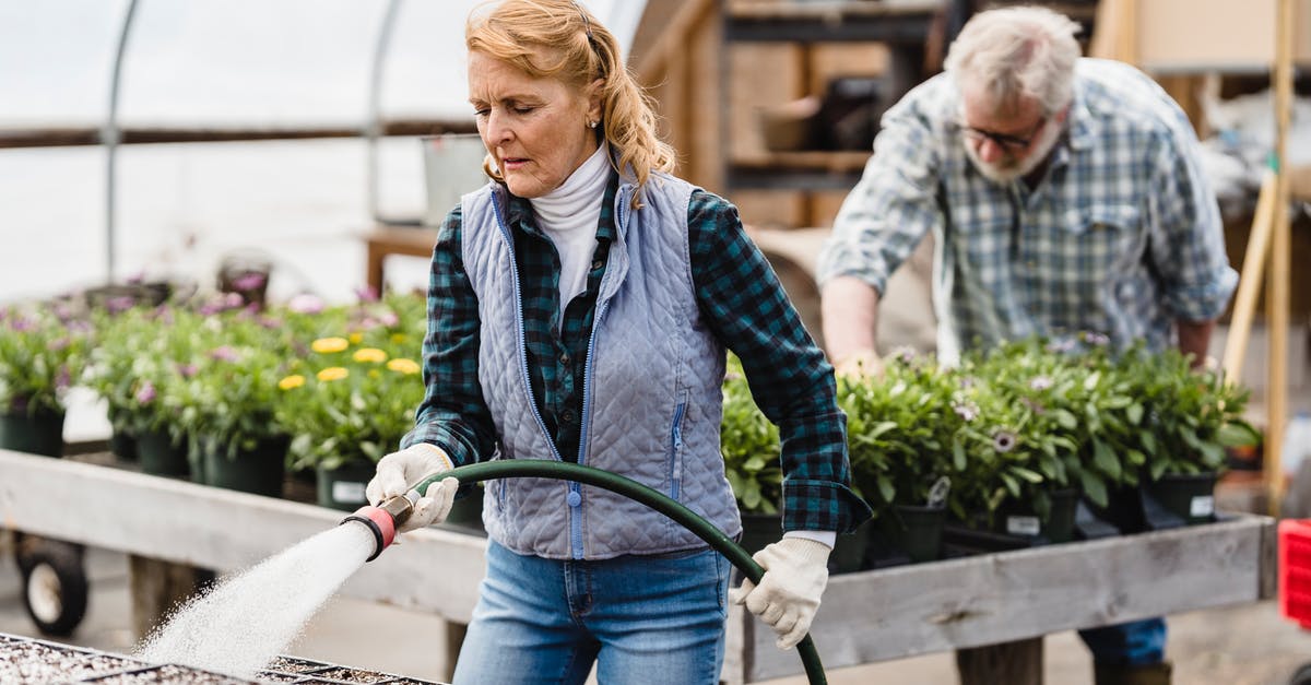 What is that tool called for scraping vegetables? - Senior couple working in greenhouse