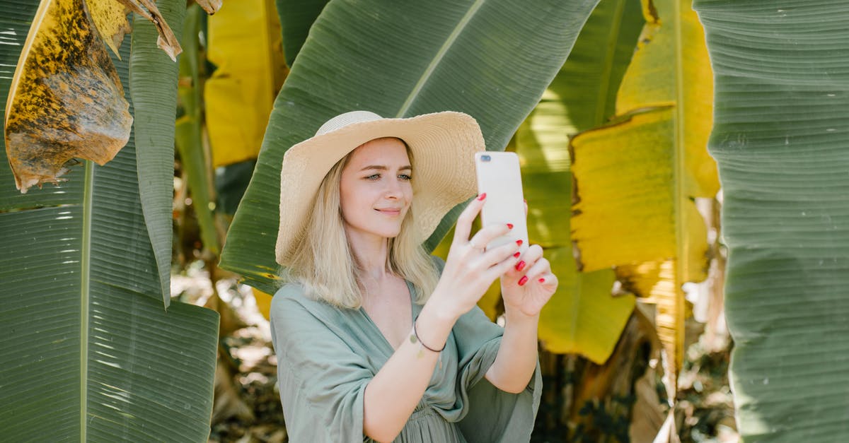 What is the best western/cheap substitute for banana leaf? - Cheerful female in straw hat standing in tropical garden and taking picture of banana leaves on smartphone while enjoying summer vacation