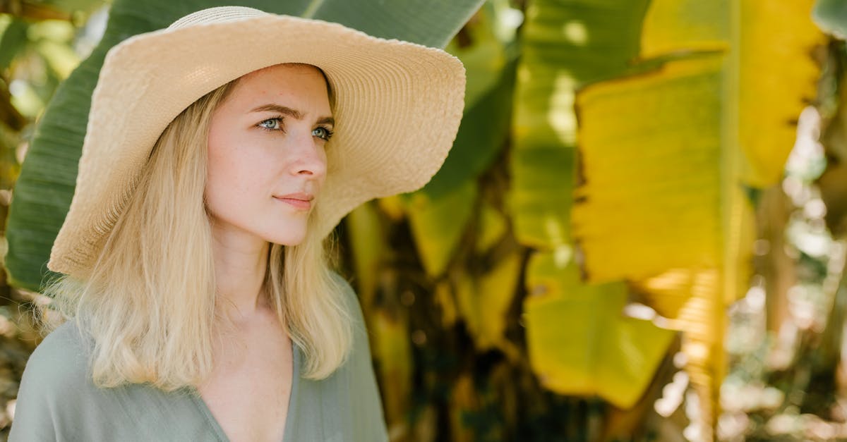 What is the best western/cheap substitute for banana leaf? - Serene female in straw hat and summer dress standing in exotic garden with banana leaves and looking away during vacation