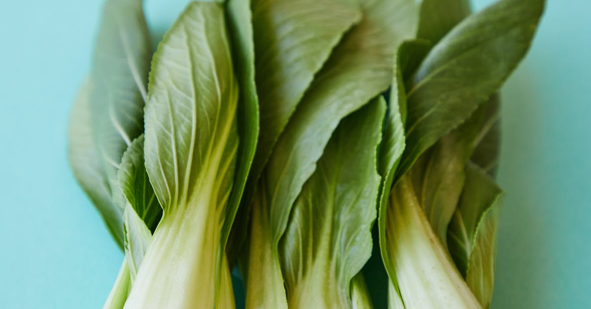 What is the Chinese celery and cabbage appetizer called and how is it made? - From above of verdant ripe leaves of pok choi placed on blue background