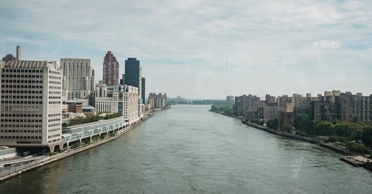 What is the difference between a New York Strip and a Bone-In New York Cut Sirloin? - Metropolis city district with spacious river What is the difference between a New York Strip and a Bone-In New York Cut Sirloin? - Metropolis city district with spacious river