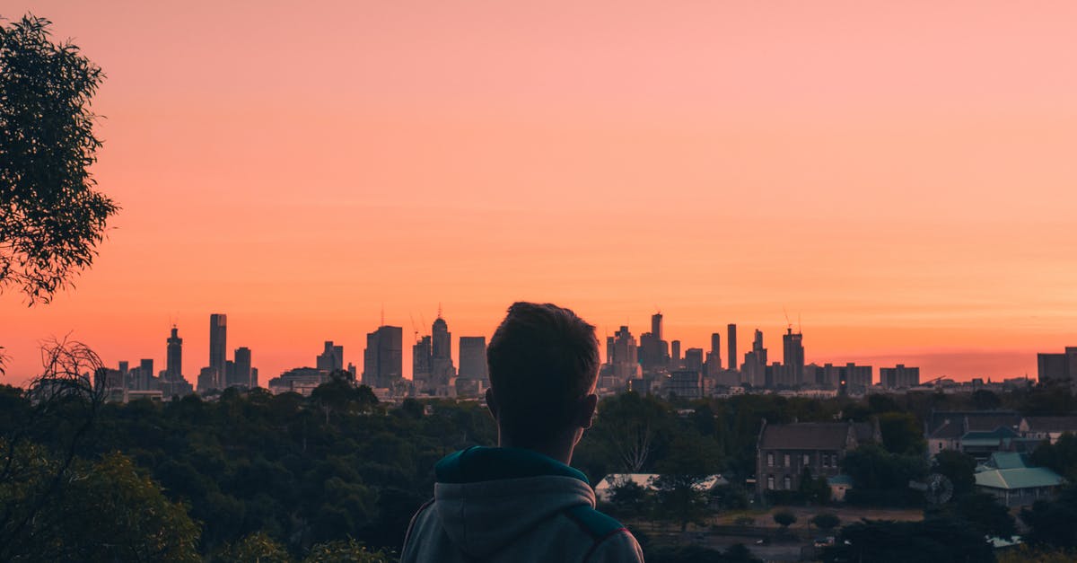 What is the difference between a New York Strip and a Bone-In New York Cut Sirloin? - Man in Green Hoodie Looking at City Buildings during Sunset What is the difference between a New York Strip and a Bone-In New York Cut Sirloin? - Man in Green Hoodie Looking at City Buildings during Sunset