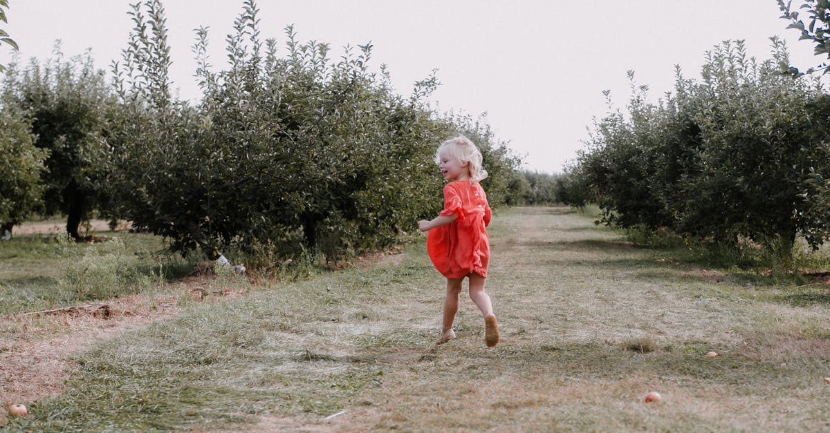 What is the difference between ranch dressing and ranch mayonnaise? - Little girl running on farmland