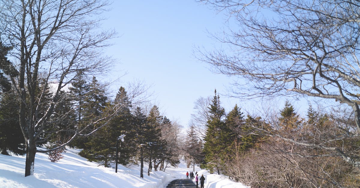 what is the difference between thick and liquidy cupcake batters? - Road Between Thick Snow and Trees