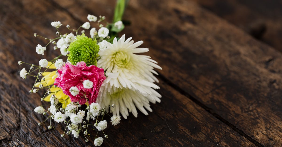 What is the difference between white and pink ginger? - From above of elegant bouquet of differently colored chrysanthemums with pink carnation and tender Gypsophila on contrasting dark brown rustic bench