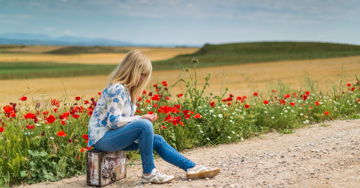 What is the easiest way to grind poppy seeds? - Girl Near Red Petal Flowers at Daytime