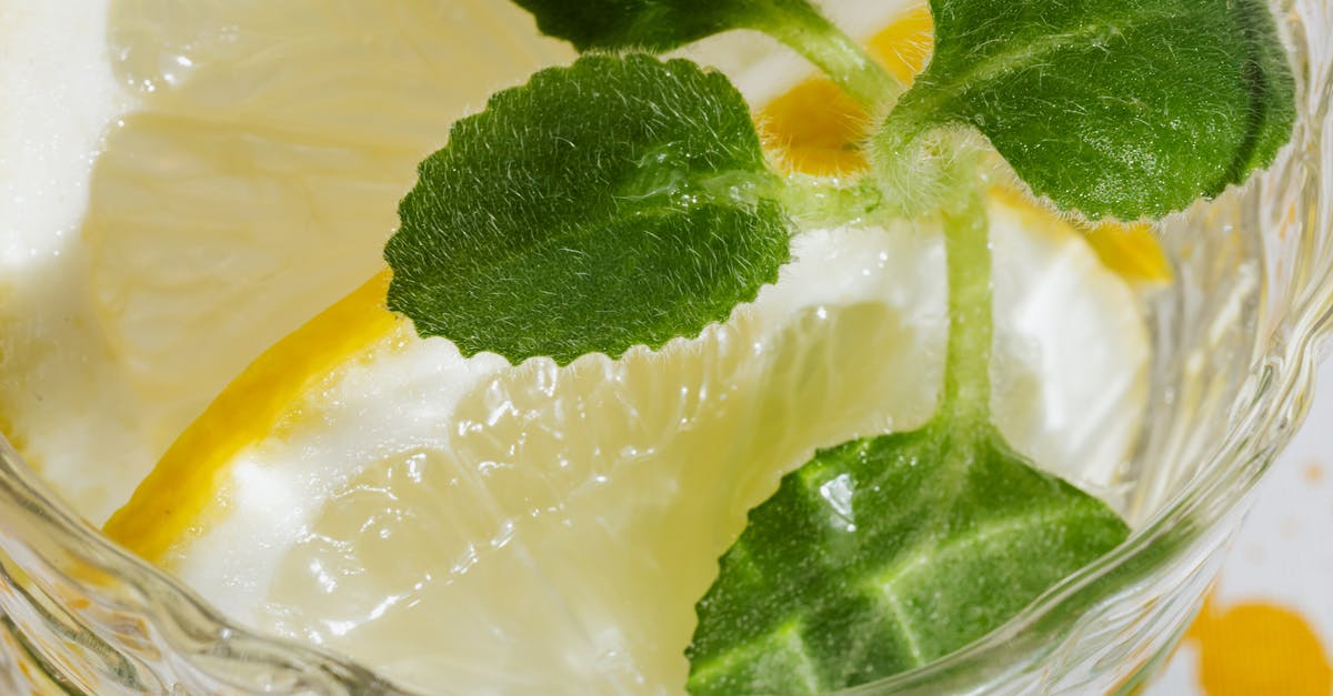 What is the most effective way to extract mint flavor for a Mojito? - Closeup glass of fresh alcohol drink with pieces of lemon and leaves of mint