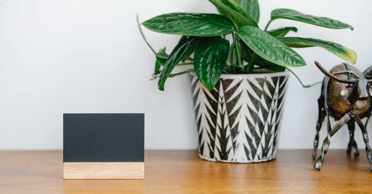 What is the name of this plant? - Blank name card placed on shelf near potted plant and metal cow statuette against gray wall