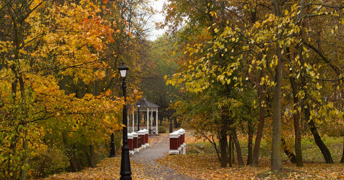 What is the proper/most common way to serve curry? - Pathway in autumn park leading to public gazebo