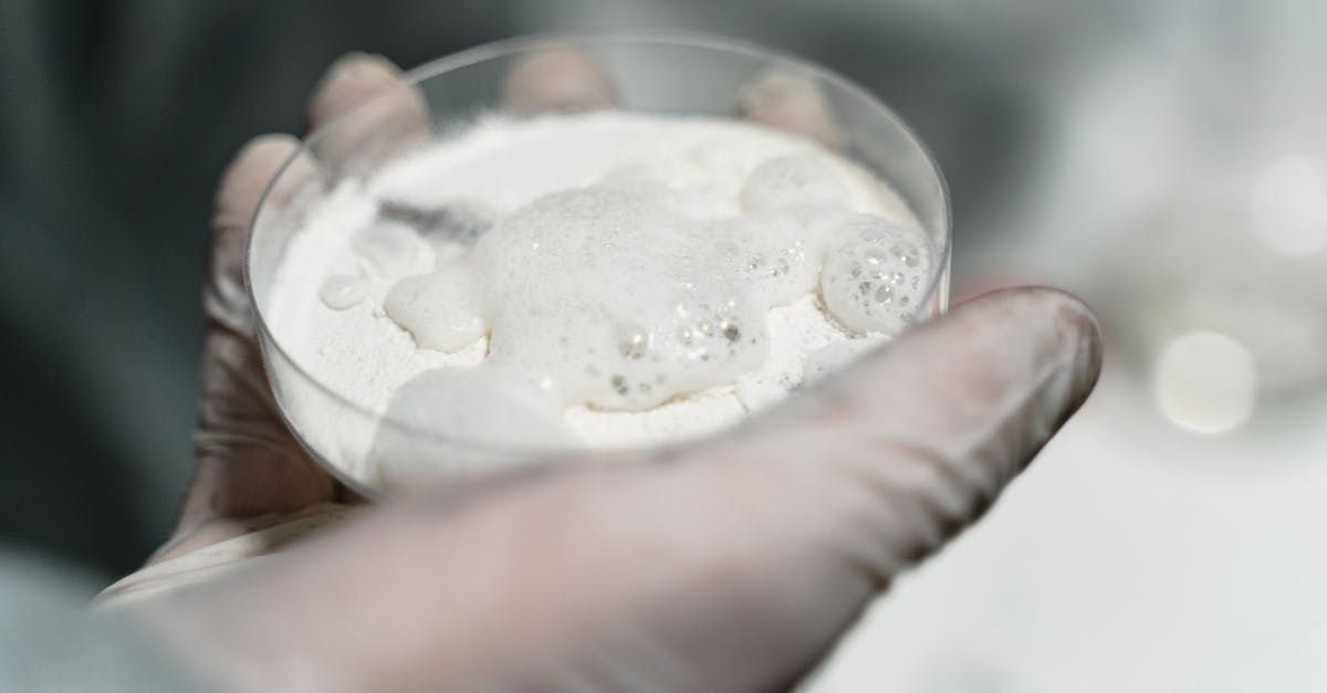 What is the purpose of heating agar powder - A Person Holding a Specimen Glass with Powder