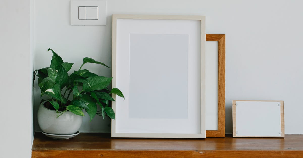 What is the shelf life of gelatin sheets? - Empty frames and board with sheet of paper placed near potted plant on shelf in workspace