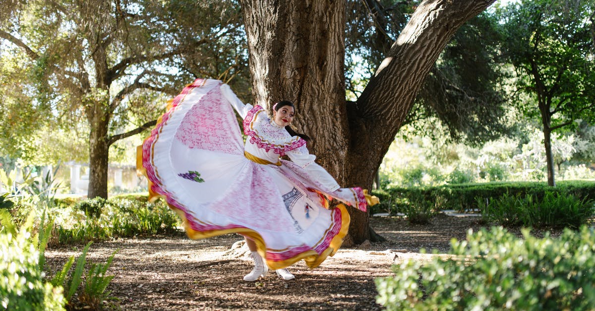 What is the traditional accompaniment for Duck Confit? - Woman in White and Red Dress Sitting on Brown Tree Trunk