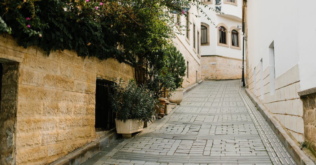 What is the traditional way to layer a lasagna? - Empty narrow paved street leading to aged residential buildings and decorated with lush green potted plants