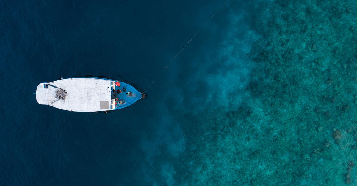 What is the white substance floating in my fresh mozzarella brine? - Top view of modern white motorboat floating on surface of clear blue still water of sea on summer day in nature