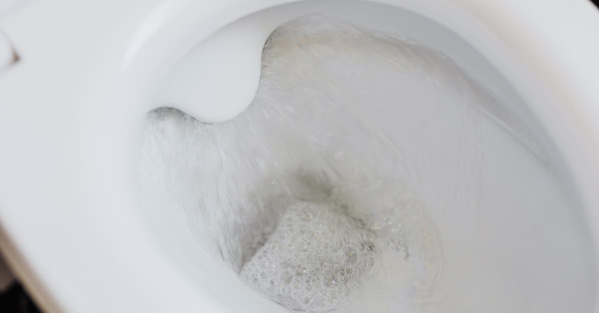 What is the white swirl in my bread and is it safe? - Flushing water in white toilet bowl
