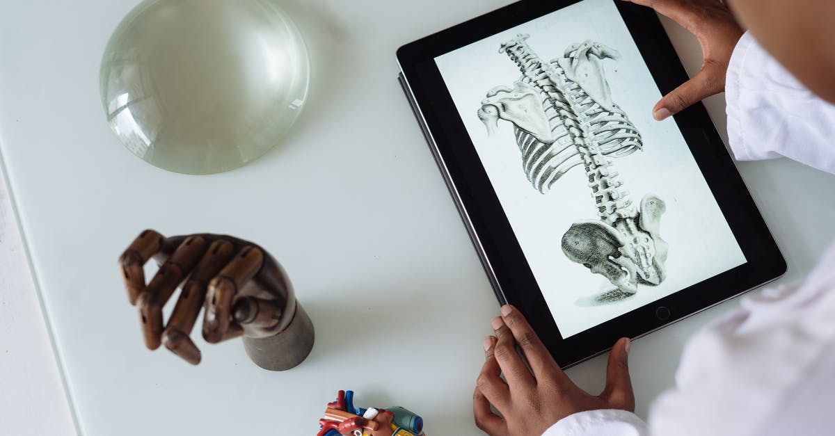 What is this oddly shaped hinged device with indentations? - Unrecognizable African American scientist studying anatomy with tablet