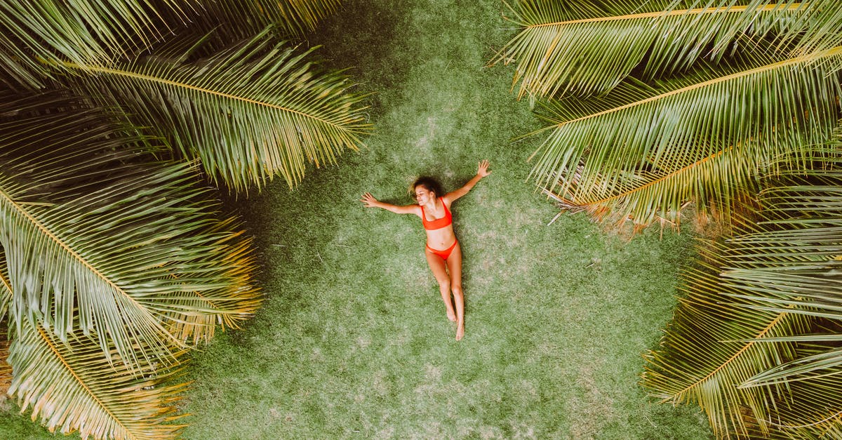 What is this palm like plant called? (Spoiler: leek) - Woman lying on green grass among palms at resort