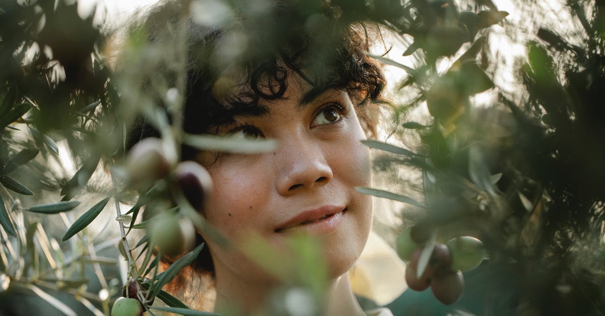 What is this plant? Is it edible? - Dreamy ethnic gardener among olive branches in countryside