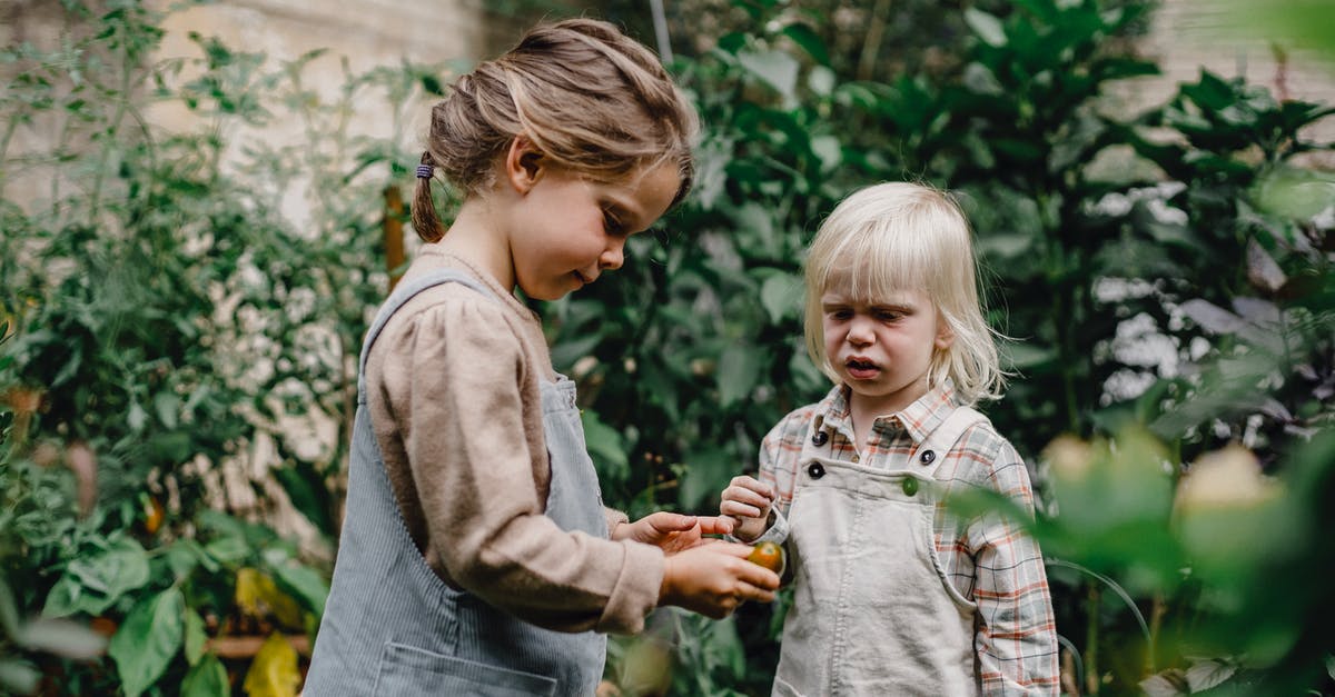 What is this small green fruit called? - Funny cute children looking at small fruit