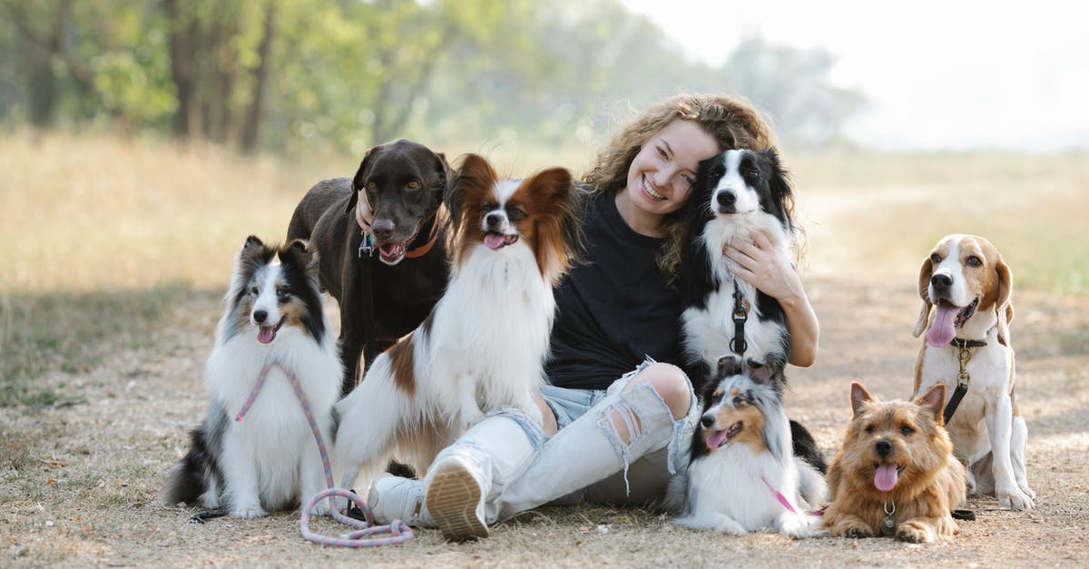 What kind of pan works best with a waterbath? - Gentle smiling woman embracing purebred dogs while sitting on ground