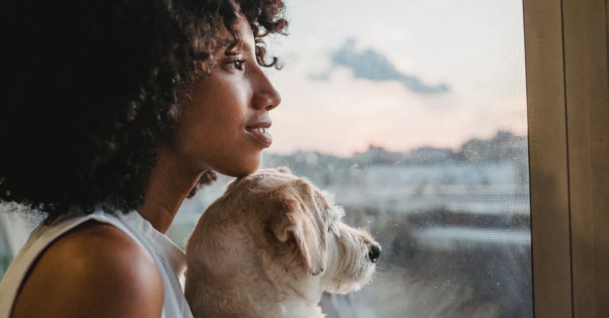 What kind of pan works best with a waterbath? - Positive black woman looking at window with purebred dogs