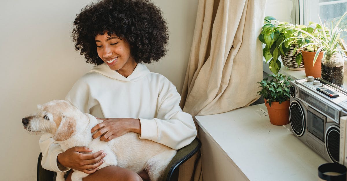 What kind of soup is this lady most likely making? - Positive African American female owner sitting with crossed legs and stroking fluffy dog near window