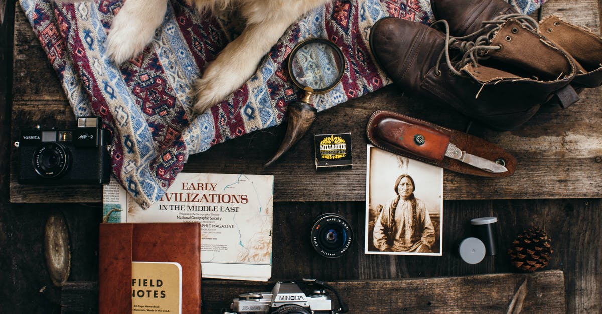 What knife should I take if traveling? - Dog lying near supply for photographing