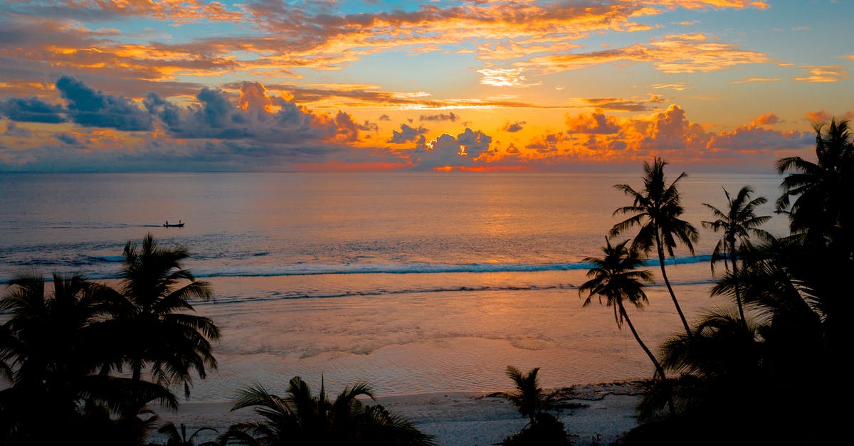 What makes sea food have similar smell? - Silhouette Dusk falling Rapidly