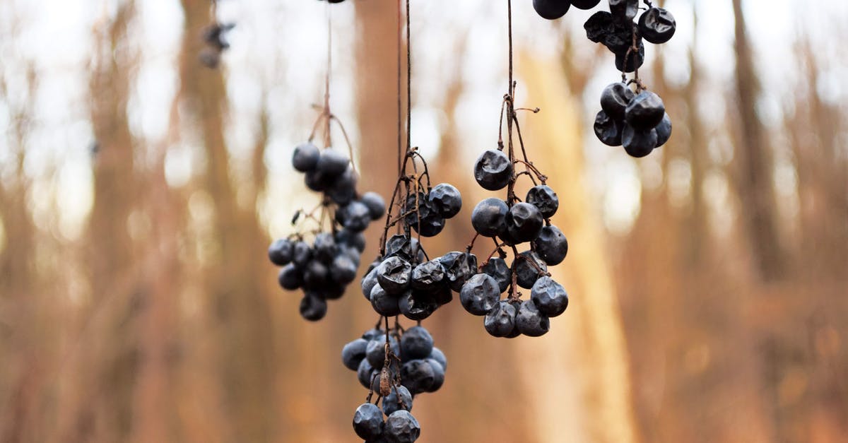 What other English names are there for dried grapes? - Black Berries Hanging