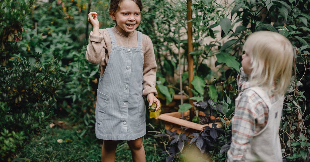 What plants have the most oil? - Cute little siblings playing together in garden near lush plants